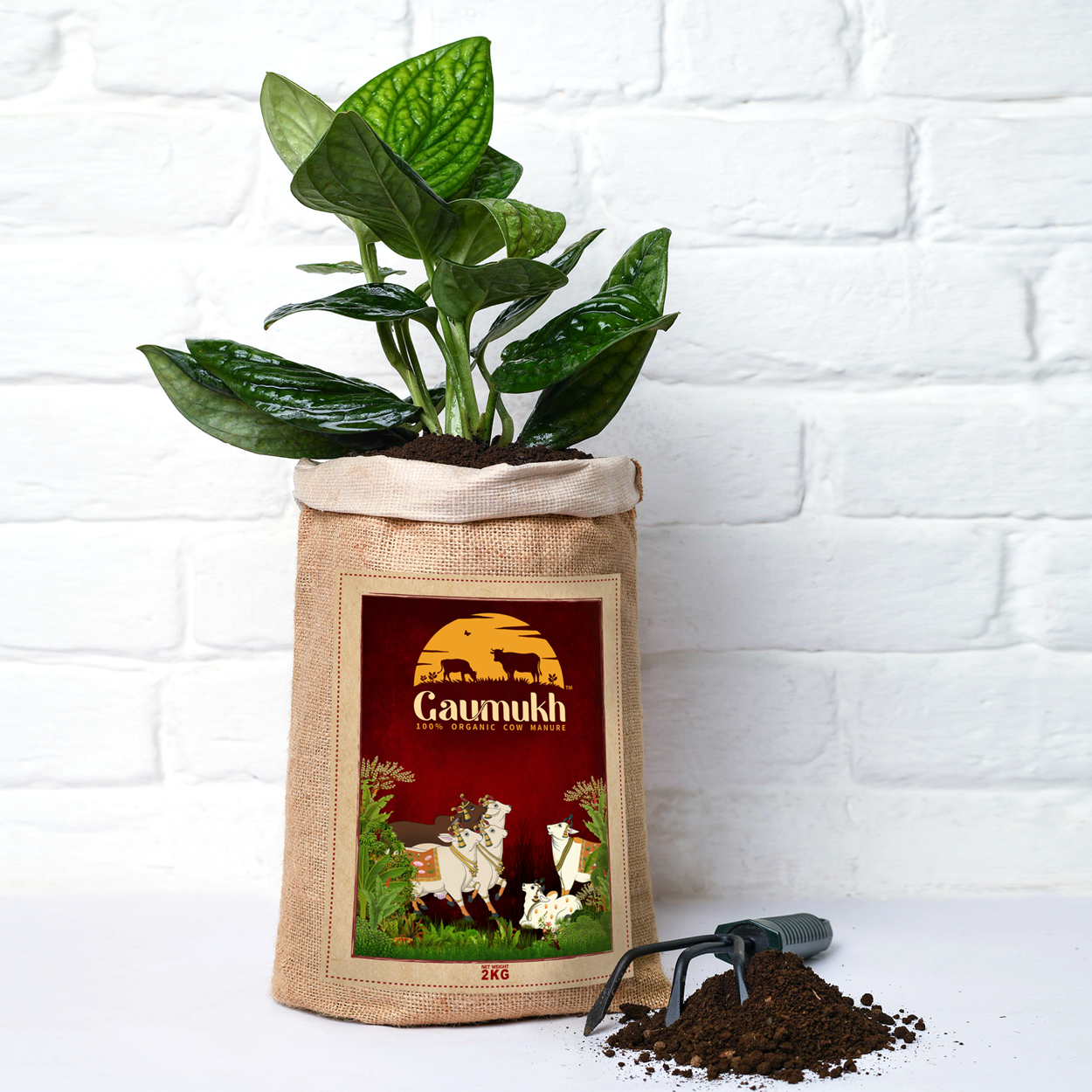100% organic cow dung dry manure compost 2KG