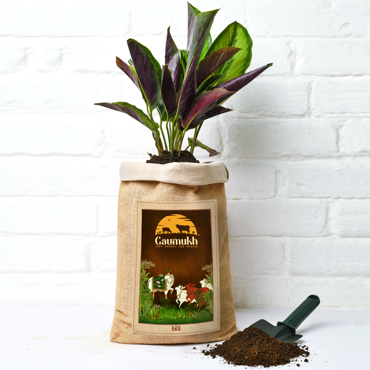 100% organic cow dung dry manure compost 5KG