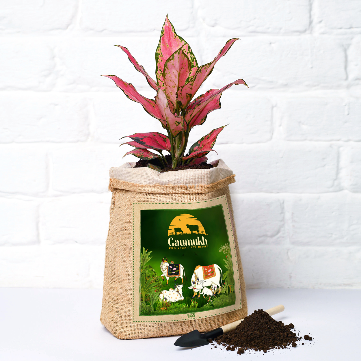 100% organic cow dung dry manure compost 1KG
